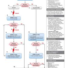 American Heart Association Aha Pediatric Cardiac Arrest Algorithm Download Scientific Diagram