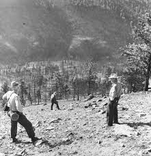 At 28,562 acres, it is montana's smallest wilderness area. Mann Gulch Fire Wikipedia