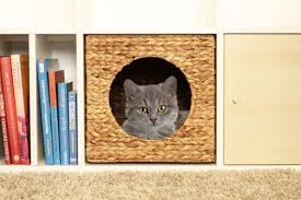 Katzenkorb Fur Ikea Kallax Regal Ikea Kallax Shelf With Cat Basket Kallax Regal Ikea Kallax Regal Kallax
