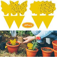 Plante d'int?rieur qui ?loigne les mouches. 48pcs Plug In Piege A Mouches Plaques Jaunes Autocollant Jaune Plante De Protection Contre Les Pucerons