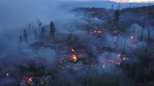 On august 16, 2003, at about 4 a.m. Aerial View Of Forest Fire Stock Footage Video 100 Royalty Free 1015894540 Shutterstock