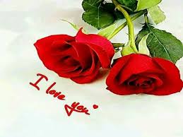 To My Dear Joe L Love You Flowers Gif Flowers Rose