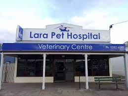 Following graduation, she practiced both large and small animal medicine for one year in rural illinois which included working with horses, cattle, goats, dogs and cats. Lara Pet Hospital And Vet Centre Facebook
