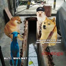 76+ doge meme wallpapers on wallpaperplay. Influenza Frutti Di Mare Colonnello Adidas Doge Fattore Volere Accedere