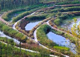 Местаотдых на свежем воздухепаркприродный заповедник香港濕地公園 hong kong wetland park. Turenscape Transforms A Ditch Into Wetland Park In China
