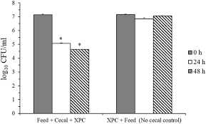 Diamond v xpc for humans. Frontiers Reduction Of Salmonella Typhimurium By Fermentation Metabolites Of Diamond V Original Xpc In An In Vitro Anaerobic Mixed Chicken Cecal Culture Veterinary Science