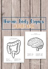 Human body coloring pages for adults. Free Human Body Organs Coloring Worksheets