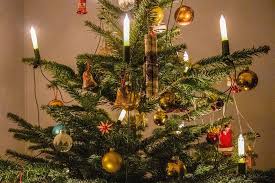Sie können ihren (9.) dort abholen. Weihnachtsbaum Entsorgung Erfolgt Ab 6 Januar 2020 Rostock Heute