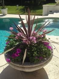 We did not find results for: Low Maintenance Landscaping In Miami 12 Ideas For Inspiration Lawnstarter