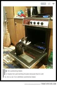 Satan S Little Worshiper Funny Pictures Funny Cat Memes Cats