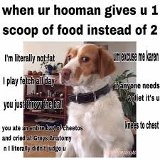 Heck You Karen Funny Animal Pictures Funny Animals Funny Animal Memes