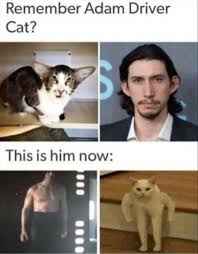 Look at these cats that look exactly like adam driver. Adam Driver Cat Before After Funny Star Wars Memes Star Wars Humor Star Wars Memes