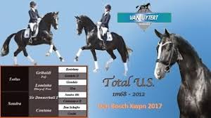 The dutch combination finished sixth individually, scoring 84.16% (84.157%) under the floodlights in. Totilas Sohn Fur Edward Gal Sport News Reiterrevue International
