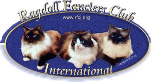Find ragdolls wanted, to adopt, and better than craigslist. Ragdoll Kittens For Sale