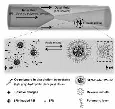 Minimum download speed 10 mb/s, preferred download speed 25 mb/s. On Chip Self Assembly Of A Smart Hybrid Nanocomposite For Antitumoral Applications Herranz Blanco 2015 Advanced Functional Materials Wiley Online Library