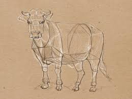 Animal Drawing Week3 Simple Shapes On Behance Animal Drawings Animal Sketches Animals