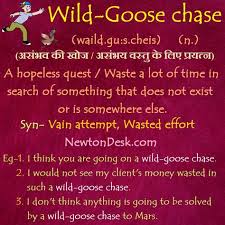 A person or team who is permitted to participate in an event or competition, such as a round of playoffs, without having to adhere to the usual entry protocol. Wild Goose Chase Meaning A Hopeless Quest Vocabularyflashcards Vocabulary Learnvocabulary Flash Idioms And Phrases Idioms Words English Language Learning