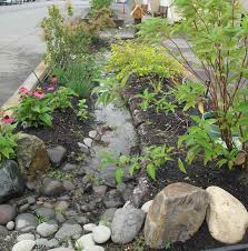 Rain gardens are most effective on a small scale, receiving runoff from an area of no more than one to two acres (to avoid high volume flows that would erode plant materials), and are typically found at the. The Rain Garden