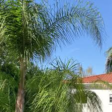 A couple of weeks ago, a fellow stalker named michelle posted a comment on my site asking me to track down the house where lifeguard mitch buchannon (david hasselhoff) lived with his son, hobie buchannon (first played by brandon call and then later by jeremy jackson), on the immensely popular 1989 television series baywatch. Armelhoch Sagt Bundesministerium Fur Gesundheit