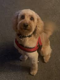 ☕️ CC April pics! Great meet to kick off spring! 🚗 Tag the owners!