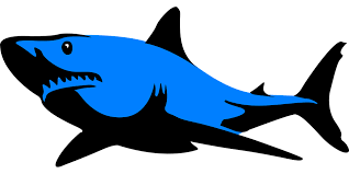 Download Shark Jaws Sea Free Vector Graphic On Pixabay