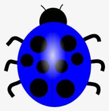 Ladybug Png Images Free Transparent Ladybug Download Kindpng Also explore similar png transparent images under this topic. ladybug png images free transparent