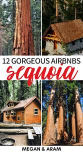 Choose a secluded cabin rental in sequoia national park and breathe in the fresh air, or perhaps a rustic cabin by the water is the dream. 12 Beautiful Cabins And Airbnbs Near Sequoia National Park