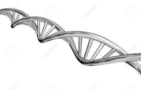 Résultat de recherche d'images pour "white dna"