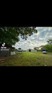 Eva Aguilar McNamee (@evamcnameeauthor) • Instagram photos and videos