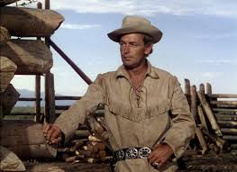 Resultado de imagem para Alan Ladd