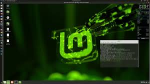 Noobslab The Linux Mint 19 1 App Store Youtube
