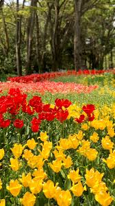Find the perfect taman mini indonesia indah stock photos and editorial news pictures from getty images. Eko Heru Prasetyo On Twitter Https T Co Ar8beguqwx Twitter