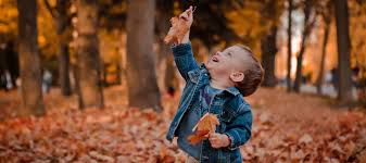 Here are the top 10 colouring activities that you can skills developed. The Best Spots To See Fall Foliage In Atlanta Mommy Nearest