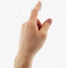 thumb hand finger png 495x836px thumb arm finger hand hand model download free thumb hand finger png 495x836px