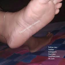 Elegant Indian goddess European Indian Goddess على X: This is your home  my loyal dogs. Book chat, call and video sessions now dogs. feetfemdom  footfetishnation findom findomslave socksfetish shoelicking femdom  crushfetish footfetish 