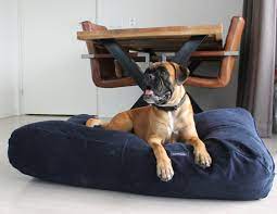 Of course, your dog will sneak in and lay on it and even with him the medium size is probably what i needed. Dog Bed Dark Blue Corduroy Dog Beds By Dog S Companion