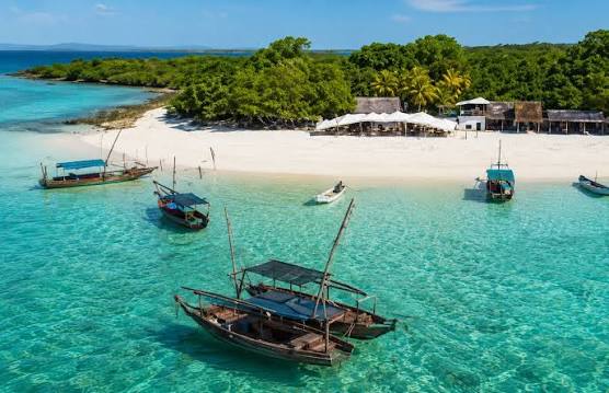 Day Fly-In Safaris from Zanzibar