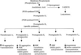 Aspirin Circulation