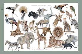 Download Modern Tropical Huge Collection Graphic By Busy May Studio Creative Fabrica
