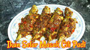 Sambaltumisbilispetai #sambaltumis #bilispetai okay kali ni mak masak sambal tumis ikan bilis. 15 Minit Ikan Selar Masak Cili Padi Paling Sedap Spicy Fried Fish Recipe Youtube