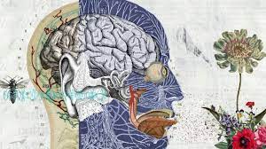 Los grandes logros de humberto maturana. Humberto Maturana Corto Animado Por La Razon Y La Ciencia Youtube