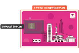 It's excellent but my only problem is how do i get my money back if the person didn't. Survival Tips For Travelers To Seoul T Money Card Trazy Blog