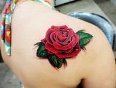 Rose tattoo cafe ei tegutse valdkondades kohvikud, restoranid. What Does Rose Tattoo Mean Represent Symbolism