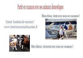 Retrouvez des milliers de dog sitter et contacter les gratuitement ! Bon A Savoir Sur La Garde D Animaux Chien Et Chat Autres