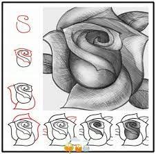 Zo Teken Je Een Mooie Roos In Stappen Probeer Maar Uit Bloemtekening Lessen Bloemen Tekenen Schetsen Tekenen