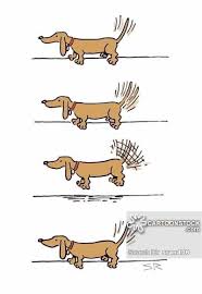 Dachshund Cartoons And Comics Funny Pictures From Cartoonstock Dachshund Cartoon Funny Dachshund Dachshund