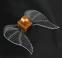 Amazon.com: QUOXO Wings Bottle Lights LED Strobe Baton ...