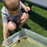 Pond Life