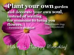 You don't have to spend every waking moment outside diligently weeding, watering, and planting. Plant Your Own Garden And Decorate Your Own Soul Flowers Quote Collection Of Inspiring Quotes Sayings Images Wordsonimages