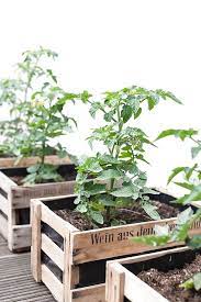pin on vegetable garden hydroponic ideas
